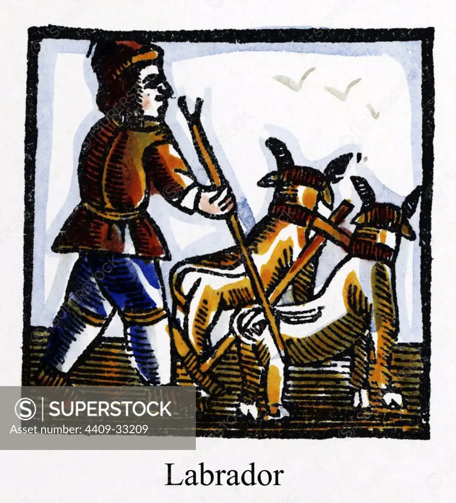 Artes y Oficios de Barcelona desde la Edad Media. Grabado al Boj del siglo XVIII. Labrador arando la tierra con la ayuda de una yunta de bueyes.
