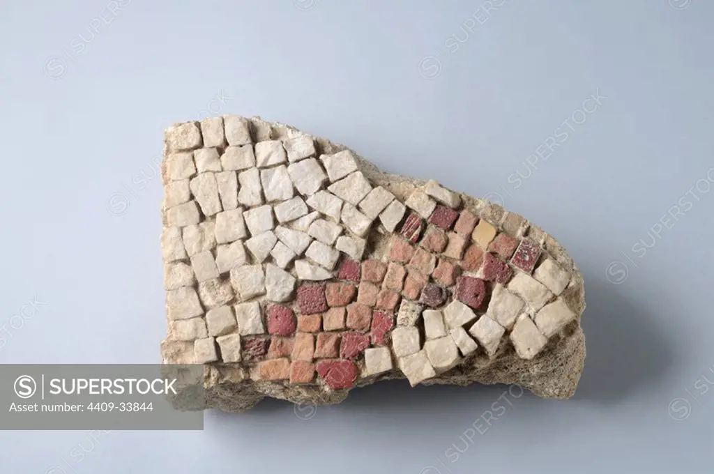 Mosaic Opus Tessellatum. parietal. in limestone. 22, 5 x 16, 5 cms. (4 th CE ) - Roman period, from "the House of Hyppolytus "- Archaeological site of Complutum in Alcalá de Henares (Madrid). SPAIN.