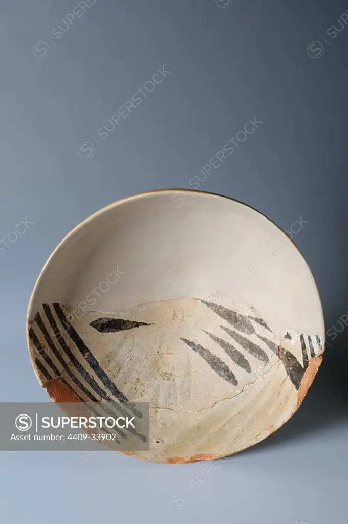 Green glazed ceramic bowl and manganese, decorated with stylized plants . Diameter mouth 148 mm Height 65 mm Diameter base 50 mm 5 mm thickness ( 14 th CE ) - Medieval period belonging of the " Burgo de Santiuste Museum" in Alcalá de Henares. (Madrid). SPAIN.