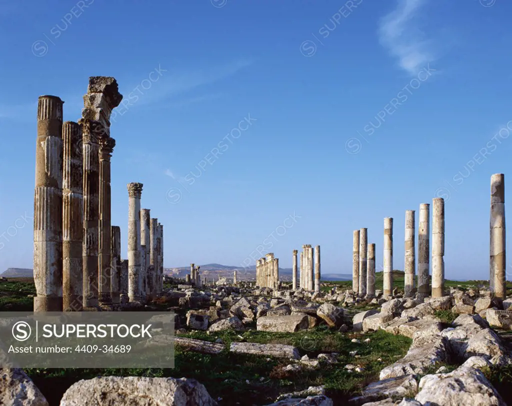 Syria. Apamea. View of the Cardo Maximus, colonnade avenue. Roman work, 2nd century. Photo before civil war.