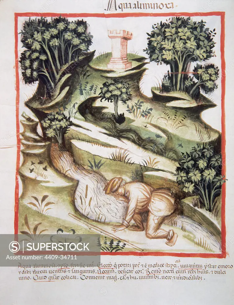 Tacuinum Sanitatis. 14th century. Medieval handbook of health. A man drinks water from a river. Folio 90v.