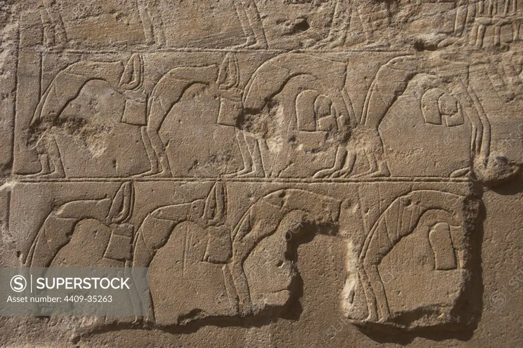 Relief depicting a group of dancers. New Kingdom. Temple of Luxor. Egypt.