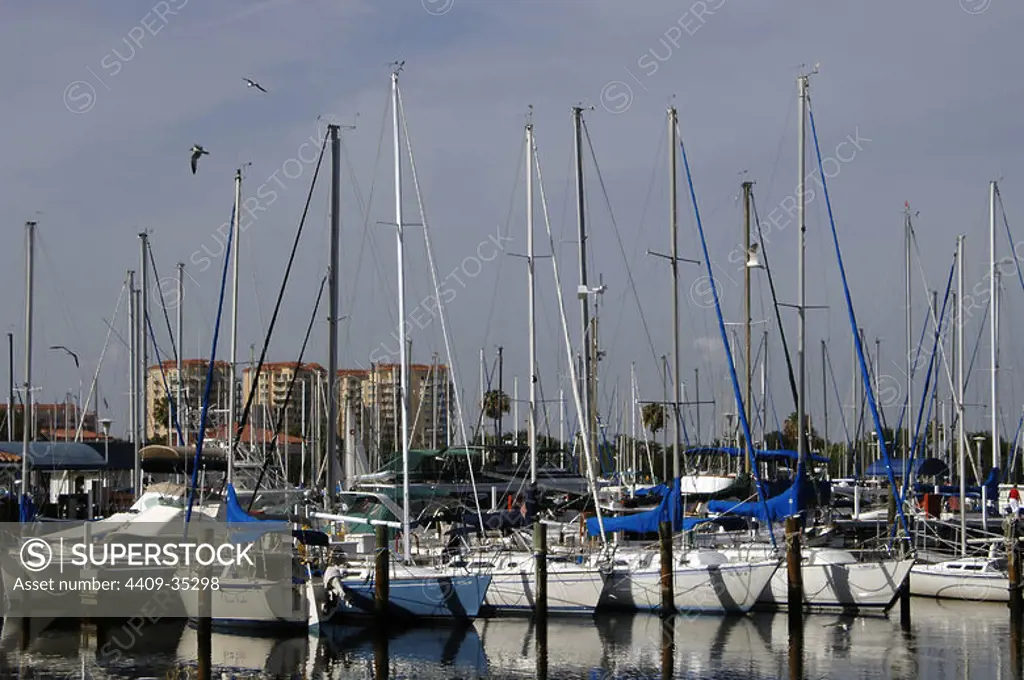 St. Petersburg. Port area. Sailboats. Pinellas County, State of Florida, United States.