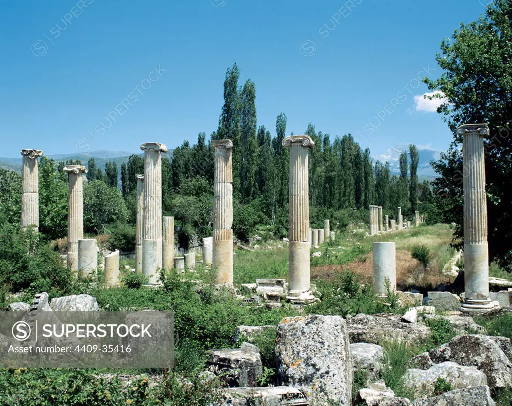Turkey. Asia Minor. Ephesus . Ancient Greek city, and later a major Roman city. Coast of Ionia. Commercial Agora. Was built in the III century BC . Hellenic period. The ruins of present-day date of III AD. Near Selcuk.