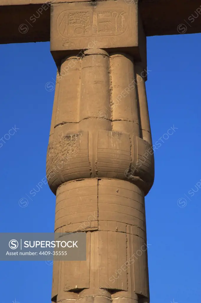 EGYPT. Luxor temple. Court of Amenhotep III composed by fasciculate columns with papyrus capitals. Dynasty XVIII. New Kingdom. Ancient Thebes. "Waset".
