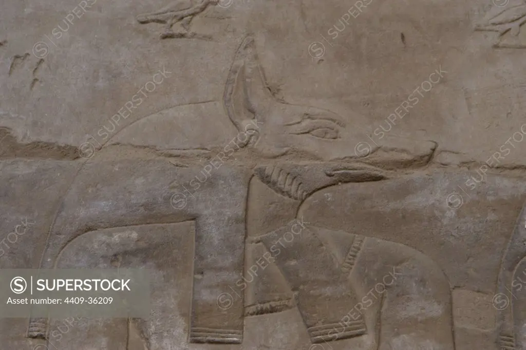 Egypt. Edfu. Temple of Horus. Relief depicting the jackal-headed God Anubis.