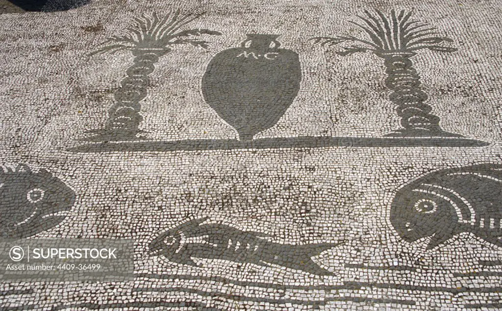 Ostia Antica. Square of the Guilds or Corporations. Mosaic depicting an amphora between two palm trees and three fishes. Near Rome.
