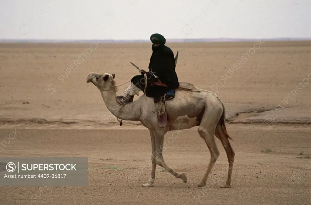 TUAREG. Desierto del Sahara. Argelia.