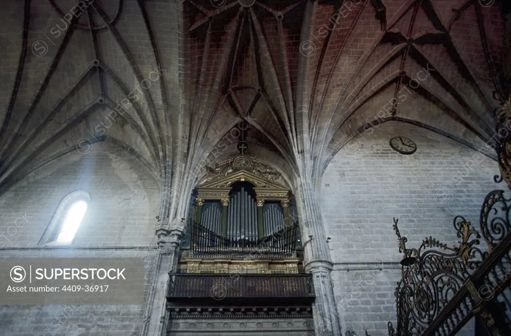 Organ of the Cathedral of the Assumption. Coria. Extremadura. Spain.