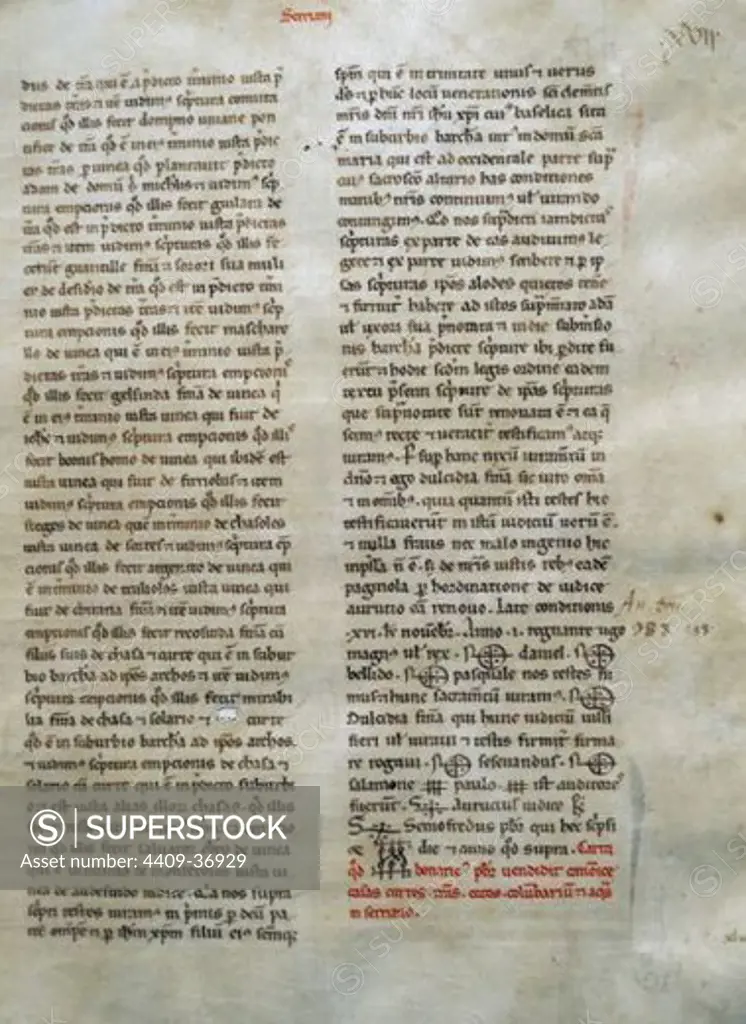 Manuscript about the sale of a plot at Vivas, bishop of Barcelona. 986. Antiquitatum Libri. Folio 26. Chapter Archive. Cathedral of Barcelona. Catalonia. Spain.