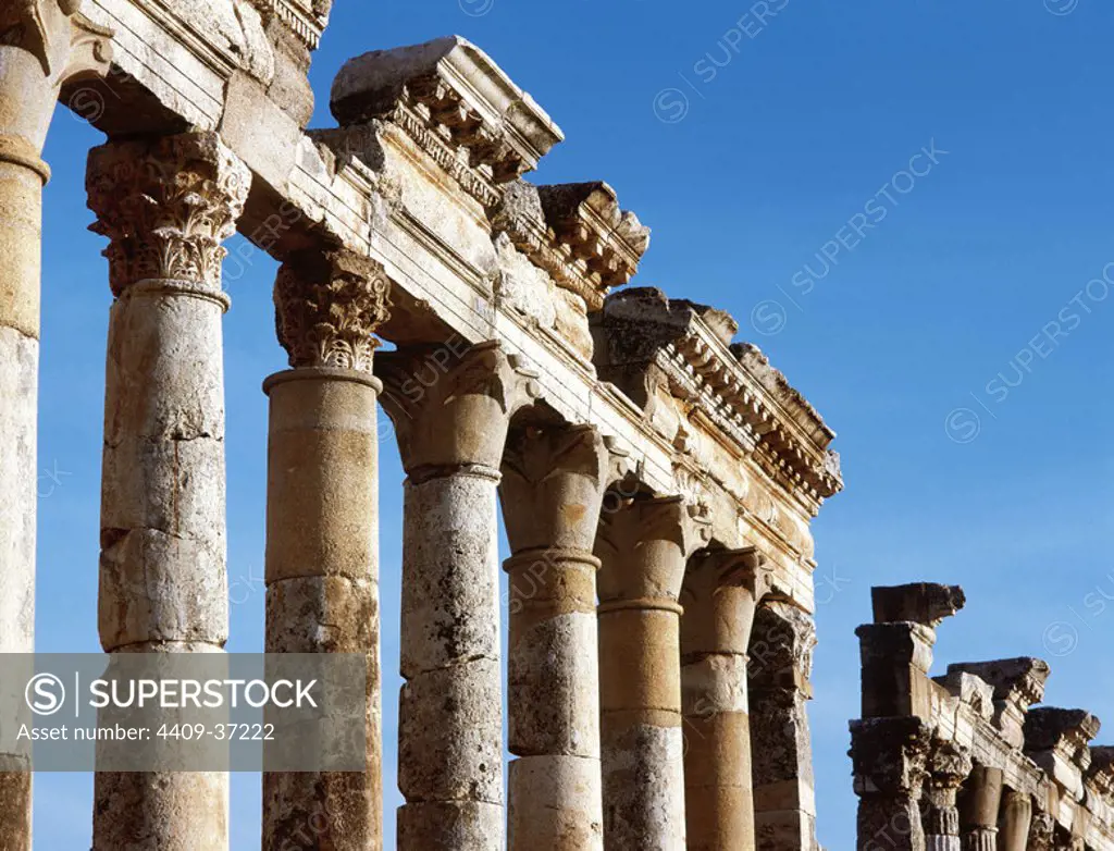 ARTE ROMANO. SIRIA. APAMEA (AFAMIA). Ciudad romana que pasó a formar parte del Imperio Romano a partir del año 64 a. C. Detalle de la parte superior de la columnata del CARDO MAXIMUS, principal arteria de la ciudad. Toda la avenida se encuentra columnada con fustes estriados.