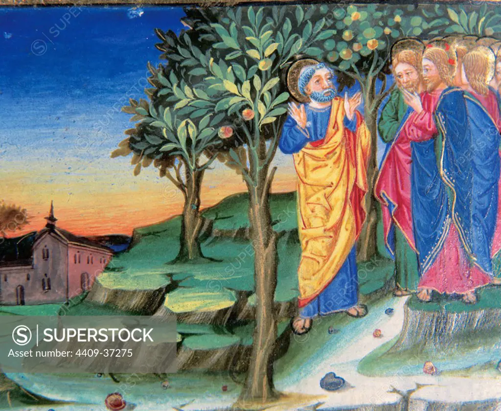 Jesus goes to Mount of Olives to pray. Codex of Predis (1476). Royal Library. Turin. Italy.