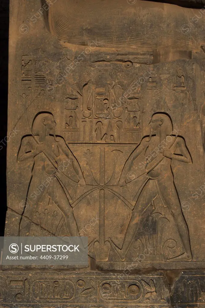 Relief depicting the union between Upper Egypt (reeds) and Lower Egypt (Papyrus). Base of the statue of Ramses II in front of the Temple of Luxor. Dated at the XIX Dynasty. New Kingdom. Egypt.