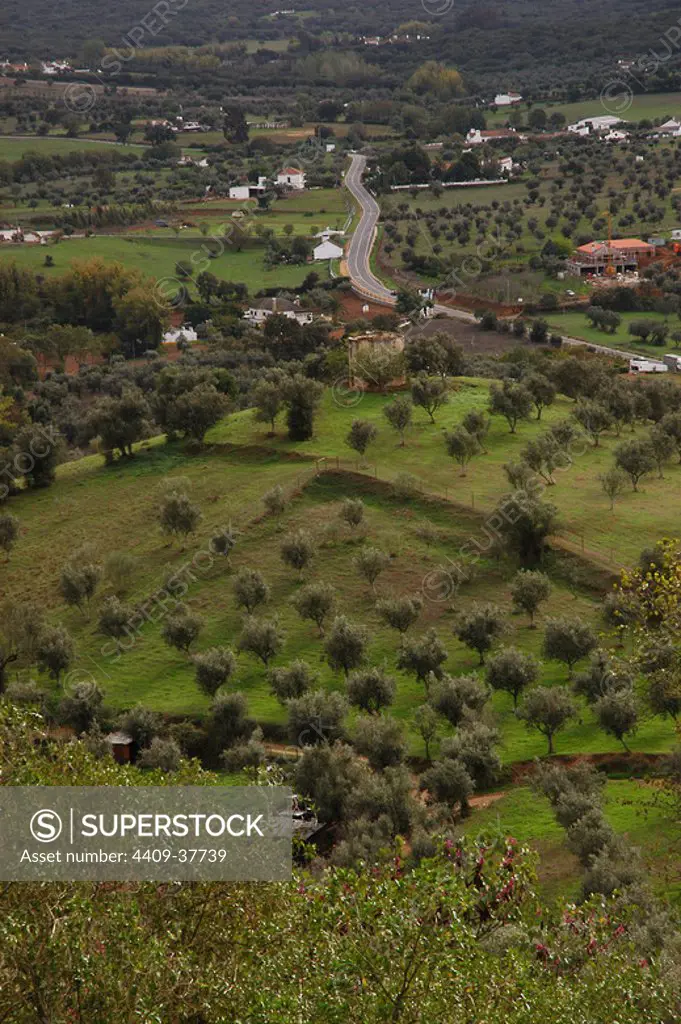 Portugal. Nontemor-o-Novo. Rural landscape.