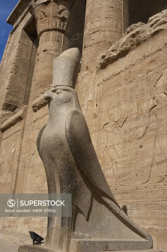 Egypt, Edfu. Temple of Horus. Pronaos. Ptolemaic period. It was built during the reign of Ptolemy III and Ptolemy XII, 237-57 BC. Granite statue of the falcon God Horus wearing the double crown of Egypt.