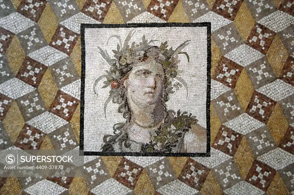 Roman Art. Asia Minor. Mosaic. 2nd century. Imperial Period. It belongs to a house of Daphe, (Antioch, Turkey). In the middle is depicted a woman with a flower's crown in her head. Metropolitan Museum of Art. New York. United States.