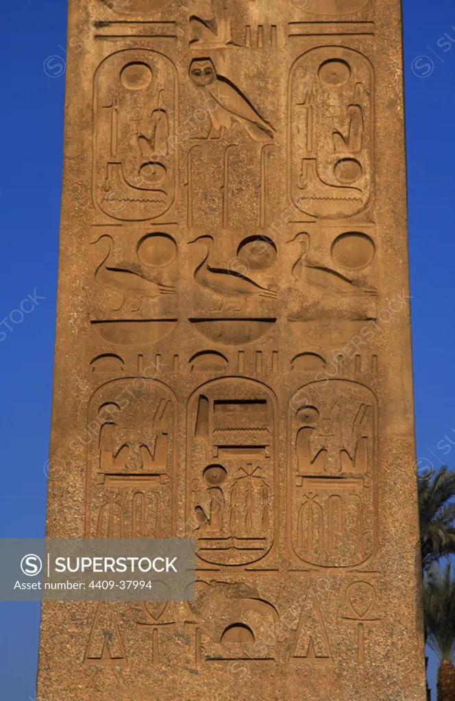 Egypt. Hieroglyphic writing. Obelisk of Ramesses II (1300-1213, reign 1279-1213 b.C.). Detail. Temple of Luxor. Dynasty XIX. New Kingdom. Ancient Thebes "Waset".