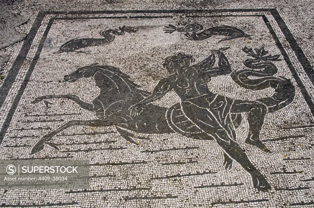 Ostia Antica. Square of the Guilds or Corporations. Mosaic depicting an Nereid with a sea-horse. Near Rome.