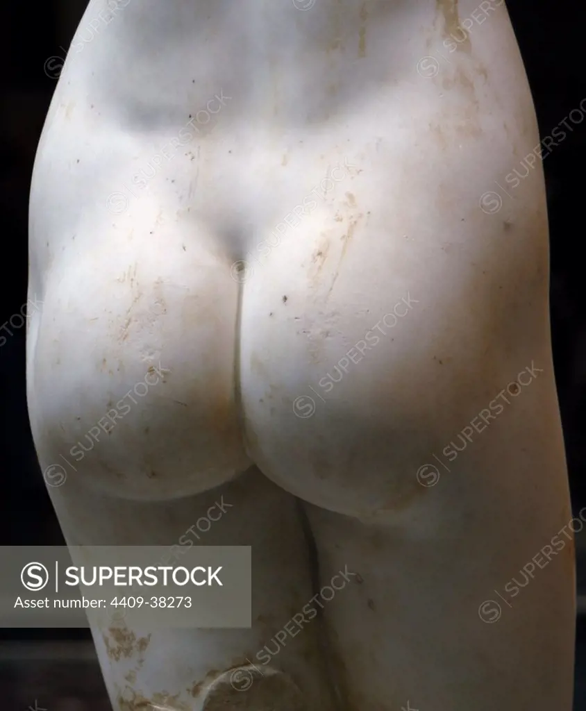 Roman Art. Marble statue of Aphrodite. Imperial period. Back. 1st or 2nd century. Copy of a Greek statue of the 3rd or 2nd century B.C. Museum of Art. New York. United States..