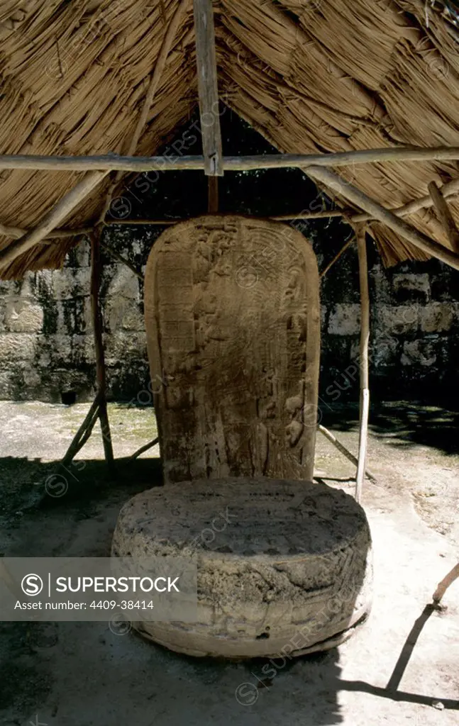 ARTE PRECOLOMBINO-MAYA. GUATEMALA. TIKAL. Lugar arqueológico maya, cuya época de máximo esplendor fue en el S. VIII. ESTELA que recoge la historia de un rey maya. PETEN.