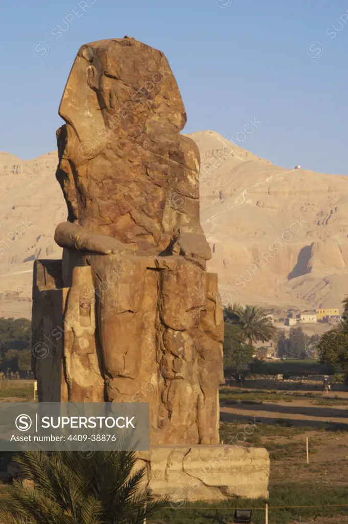 Colossi of Memnon. Stone statues depicting pharaoh Amenhotep III (14th century B.C.) in a seated position. Western colossus. Eighteenth Dynasty. New Kingdom. Luxor. Egypt.