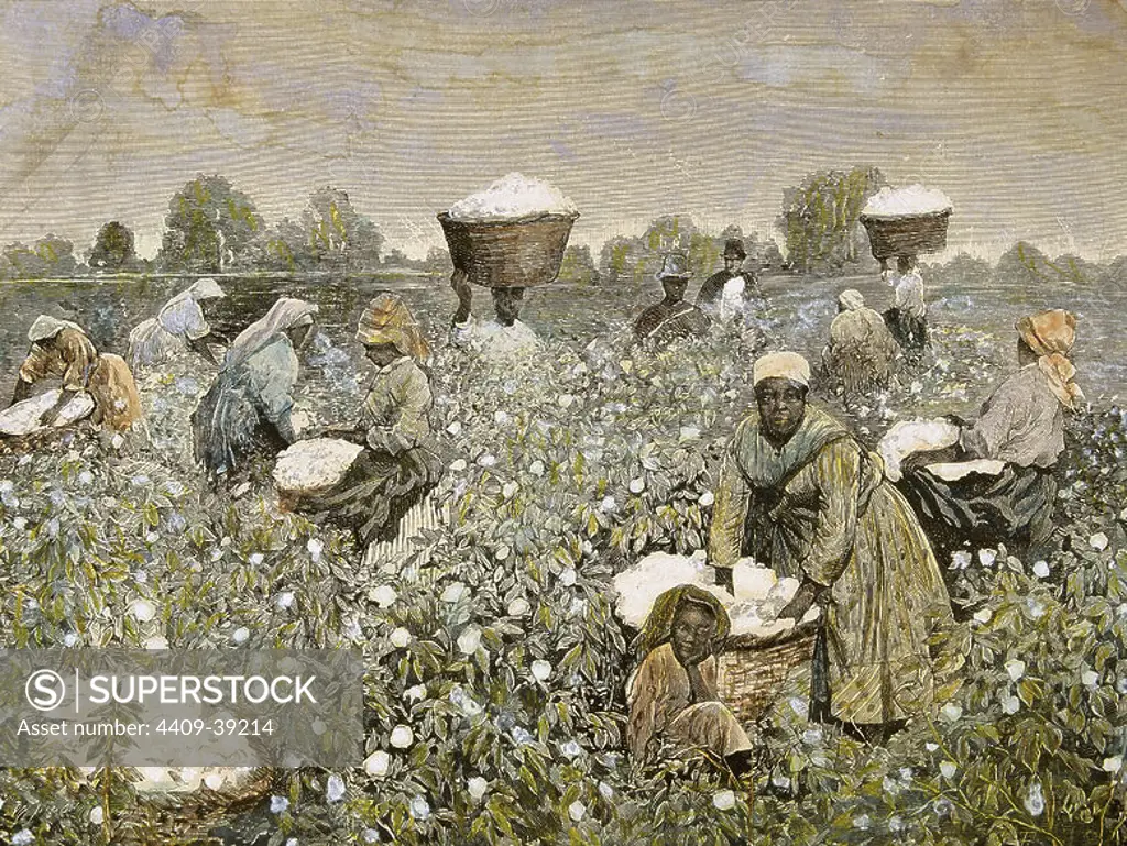 United States. Picking cotton. Engraving 1878. Color.