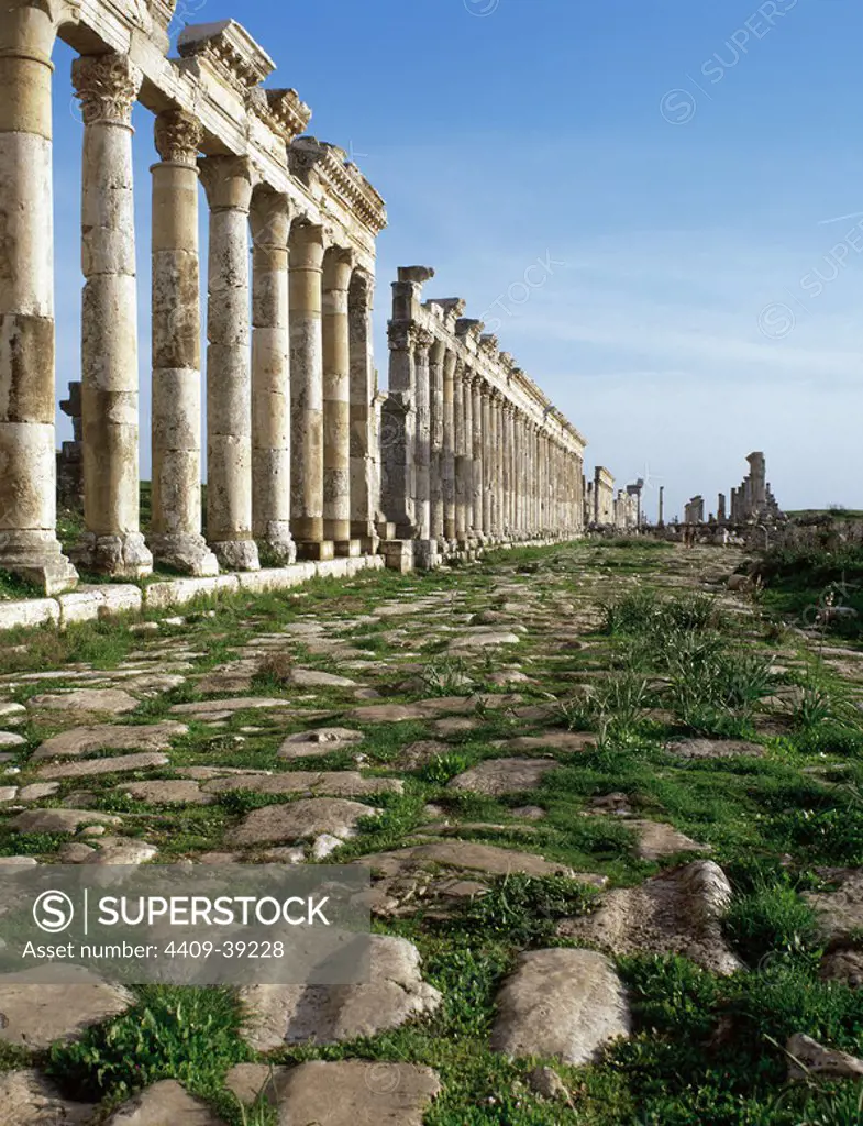 Apamea or Apameia (Afamia). Colonnade in the Cardo Maximus. Syria.