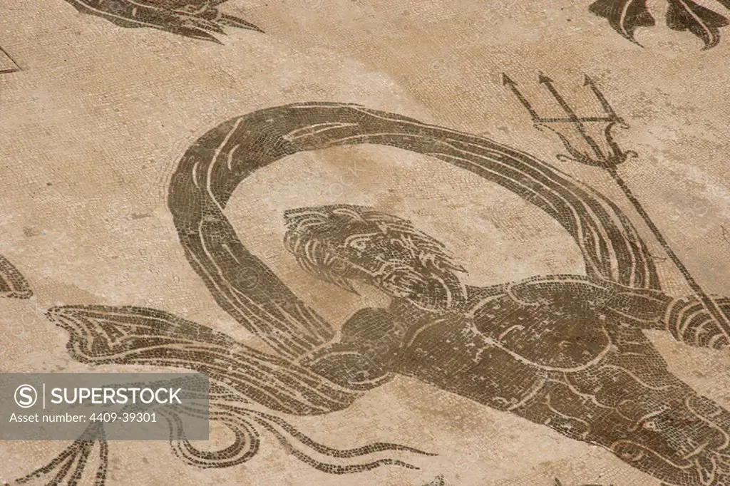 Roman mosaic. Neptune riding a chariot. Detail. Baths of Neptune. Ostia Antica. Italy.