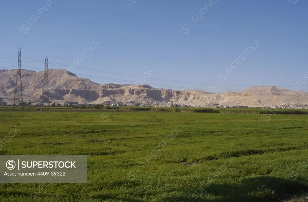 Egypt. Luxor. Agricultural area. Arid zone at the borrom.