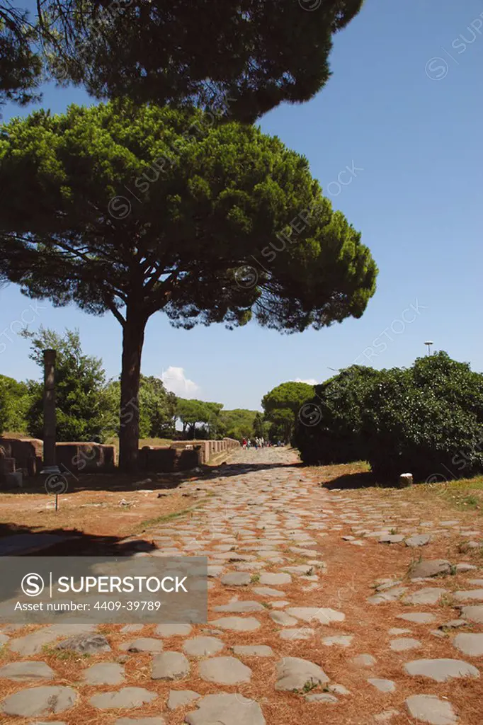Ostia Antica. The "Decumanus Maximus". Detail of the paving on a roman road. Italy.