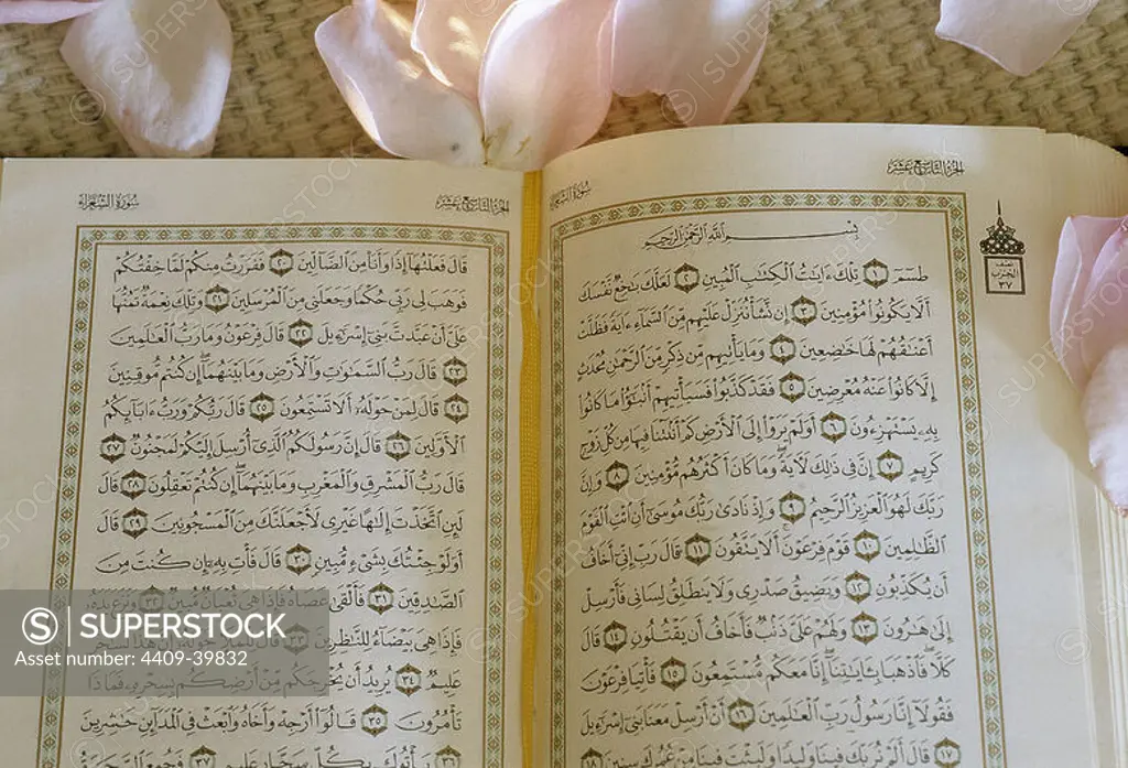EL CORAN. Libro sagrado de la religión musulmana. Detalle de una de sus páginas.