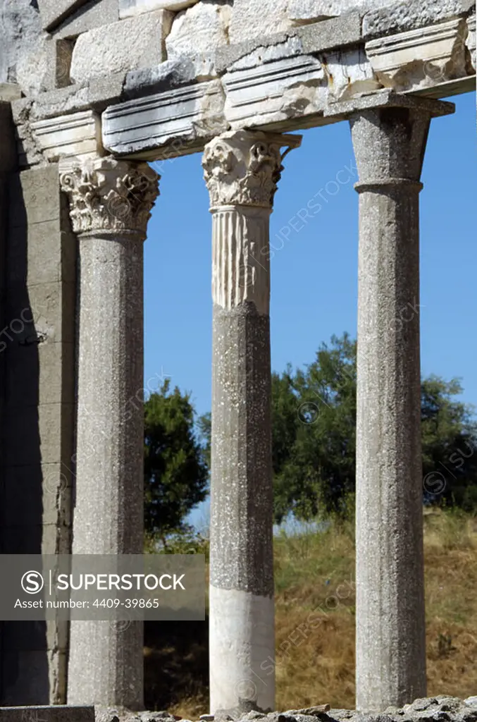GREEK ART. Hellenistic period. REPUBLIC OF ALBANIA. Bouleuterion. II century A.C. Detail of marble Corinthian columns. Ruins of Apollonia. Fier.