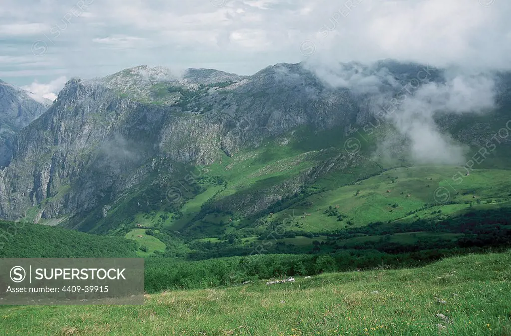 Spain. The Picos de Europa. Range of Mountains from the northern coast of Spain. Forming part of the Cantabrian Mountains. Outside near Collado Pandebano. Bulnes.