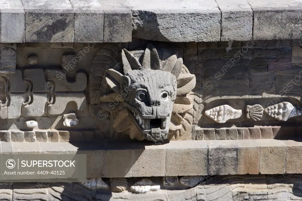 ARTE PRECOLOMBINO. MEXICO. SITIO ARQUEOLOGICO DE TEOTIHUACAN (Patrimonio de la Humanidad). PIRAMIDE DE QUETZALCOATL. Detalle de la SERPIENTE EMPLUMADA que representa al dios azteca del viento QUETZALCOATL. Corresponde a la parte de la pirámide de estilo tolteca.