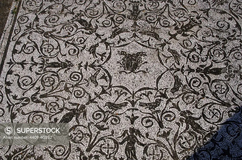 Roman Art. Italy. House of Bacchus and Ariadne. Floor mosaic in black and white decorated with floral motifs and the Medusa in the center. 1st-2nd centuries A.C. Ostia Antica.