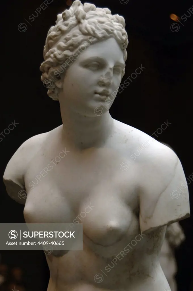Roman Art. Marble statue of Aphrodite. Imperial period. 1st or 2nd century. Copy of a Greek statue of the 3rd or 2nd century B.C. Museum of Art. New York. United States..