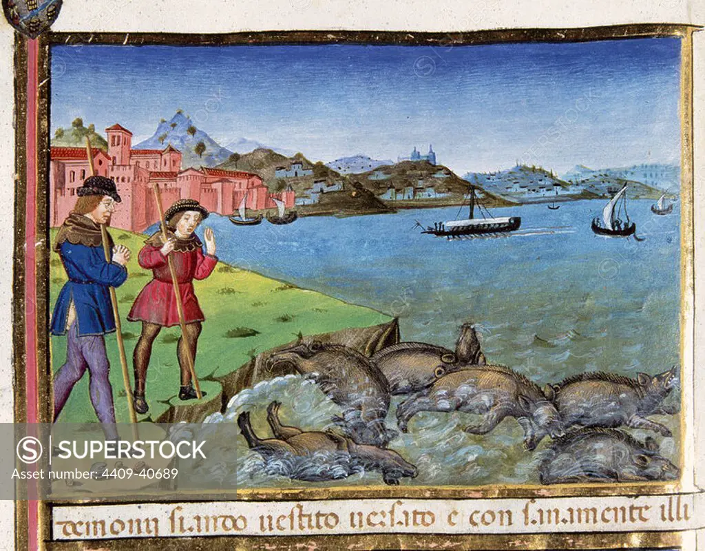 Pigs are thrown into the sea and drown. Codex of Predis (1476). Royal Library. Turin. Italy.