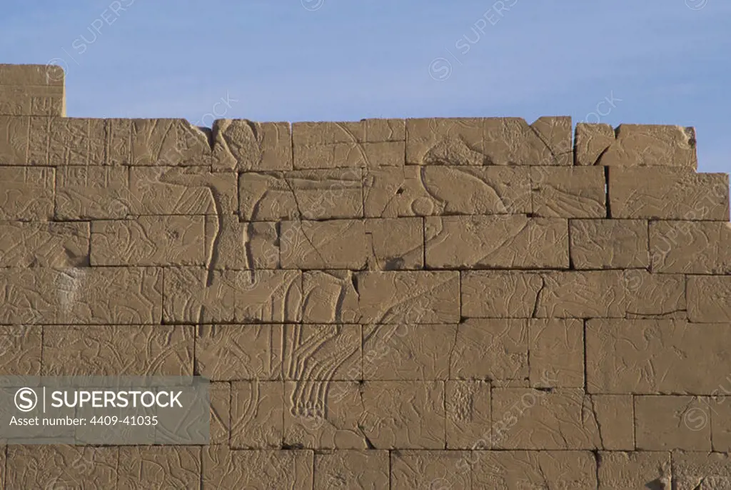 Ramesseum. Relief depicting the pharaoh in a chariot during a battle. 13th century B.C. Nineteenth Dynasty. New Kingdom. Medinet Habu. Necropolis of Thebes. Valley of the Kings. Egypt.