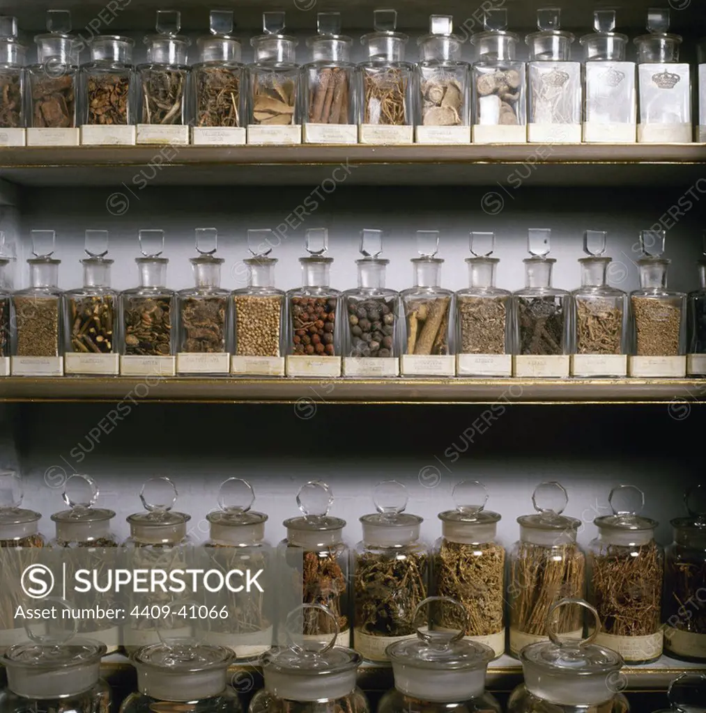 GLASS BOTTLES WITH MEDICINAL HERBS FOR MEDICINE AND PHARMACY. Madrid's royal palace. Spain.