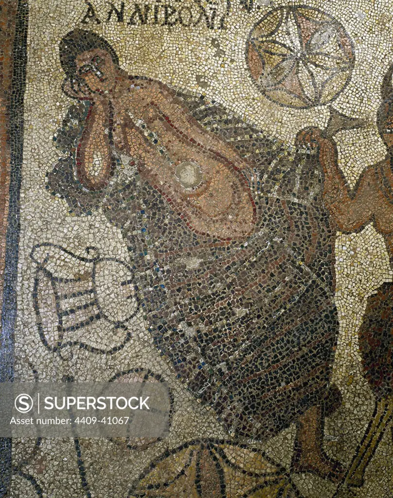 Roman mosaic depicting Ariadne sleeping. Detail of the mosaic Meeting between Ariadne and Dionysus. 4th century. Anniboni. National Museum of Roman Art. Merida. Spain.