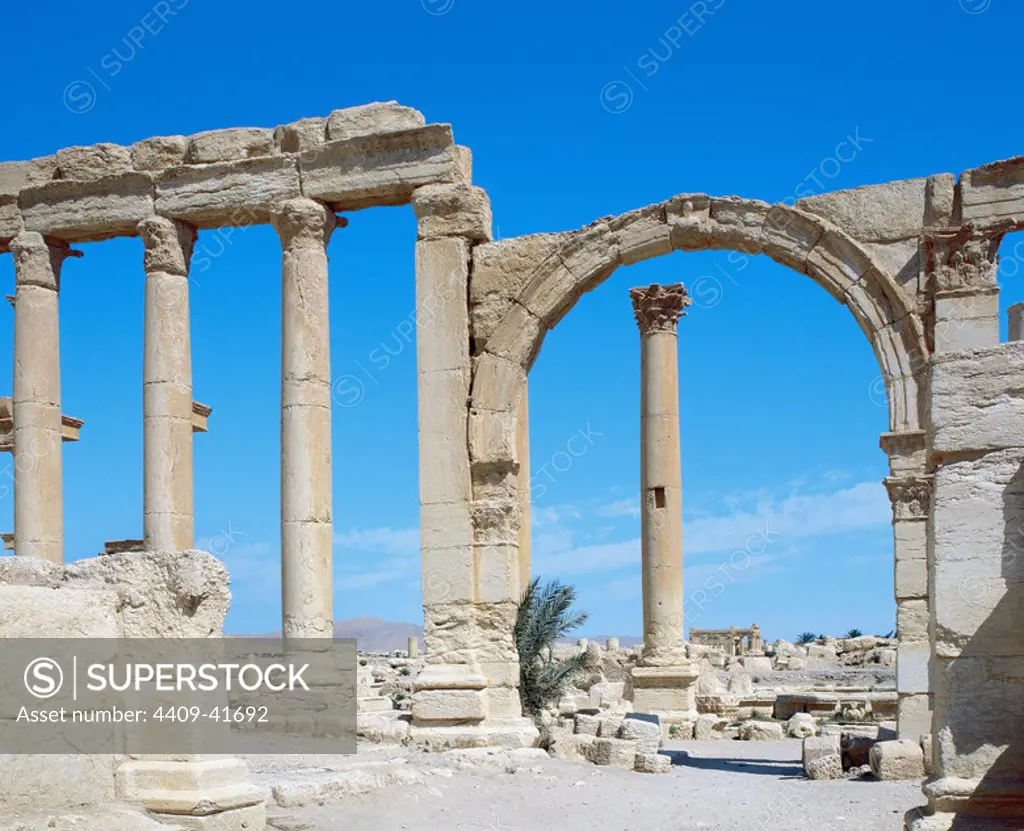 Roman art. Syria. Palmyra. Decumanus (avenue). Ruins. 3rd century. Oasis Tadmor.