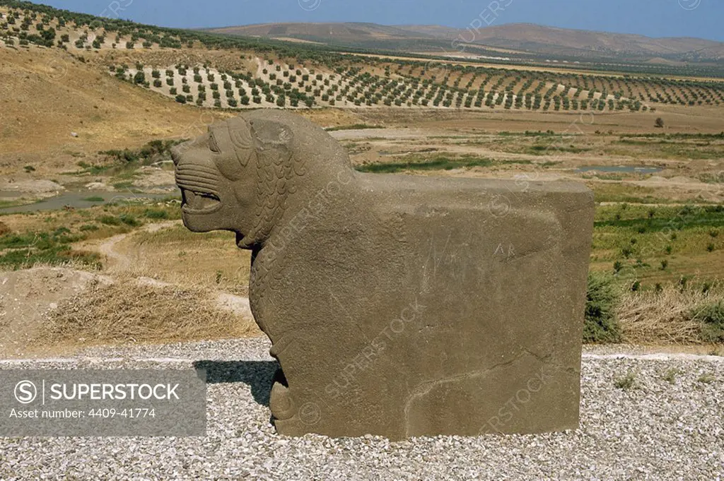 Iron Age Syro-Hittite. A lion carved out of stone. Ain Dara temple. Ain Dara. Syria.