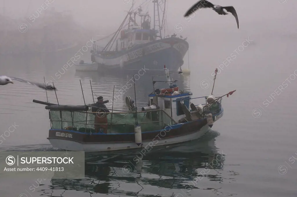 Fishing boat sailing in the fog. Lagos. The Algarve. Portugal.