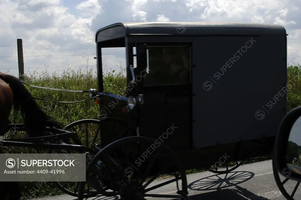 Typical amish carriage know Buggy. Lancaster County. United States.