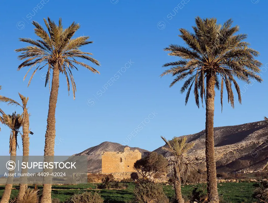 ANDALUCIA. PARQUE NATURAL CABO DE GATA-NIJAR. Vista del paisaje costero entre las localidades de Las Negras y Rodalquilar. Provincia de Almería. España.