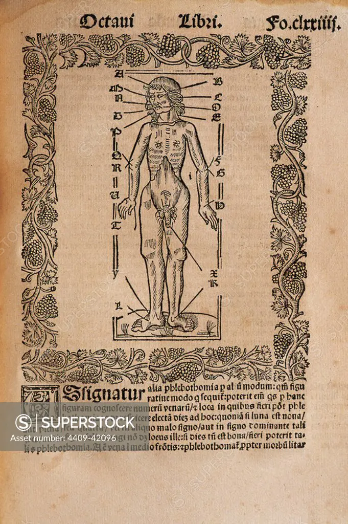 Ramon Llull (1235-1316). Spanish writer and philosopher. Practica Compendiosa Artis Raymundi Lulli, 1523. Book 8. Medicine subject. Engraving depicting the human body and the influence of the stars (the astrological associations of the human body).