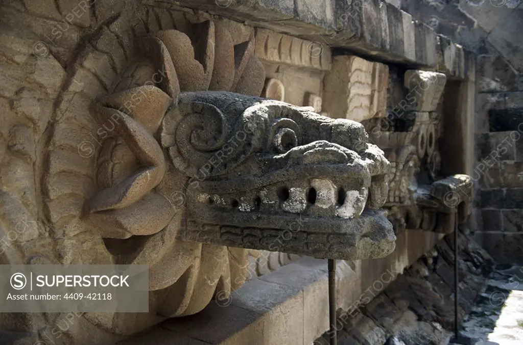 ARTE PRECOLOMBINO. MEXICO. PIRAMIDE DE QUETZALCOATL. Detalle de la serpiente emplumada que representa al dios azteca del viento QUETZALCOATL. Corresponde a la parte de la pirámide de estilo tolteca. Teotihuacán.