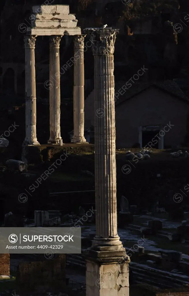 Italy. Rome. Roman Forum. View of Column of Phocas (608), and the Three columns of theTemple of Castor and Pollux, built in 495 BC, Roman Republic.