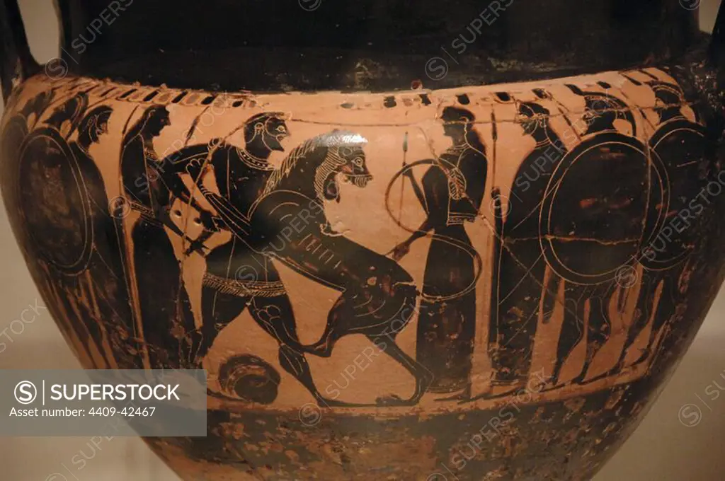 Krater painted with black figures representing one of the twelve labors of Hercules. First job: kill the Nemean lion and take their skin. It comes from Thespiai. Painter of Louvre. Dated between 550-540 B.C. National Archaeological Museum. Athens. Greece.