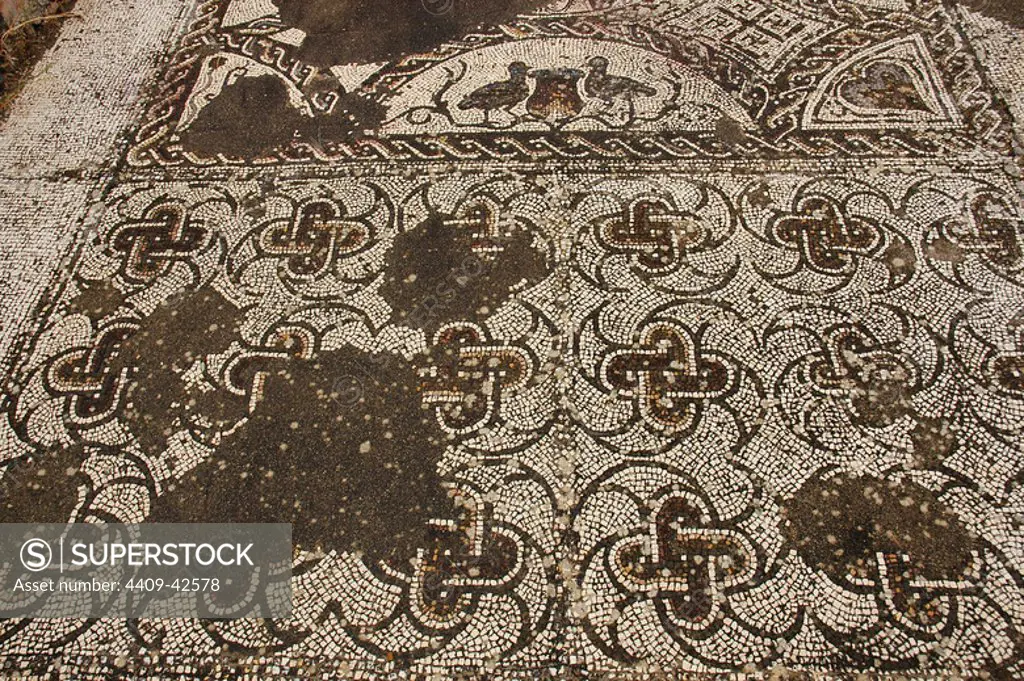 Roman Villa of Pisoes. Mosaic floor depicting geometric and naturalistic motifs. Portugal. The Alentejo. Beja.